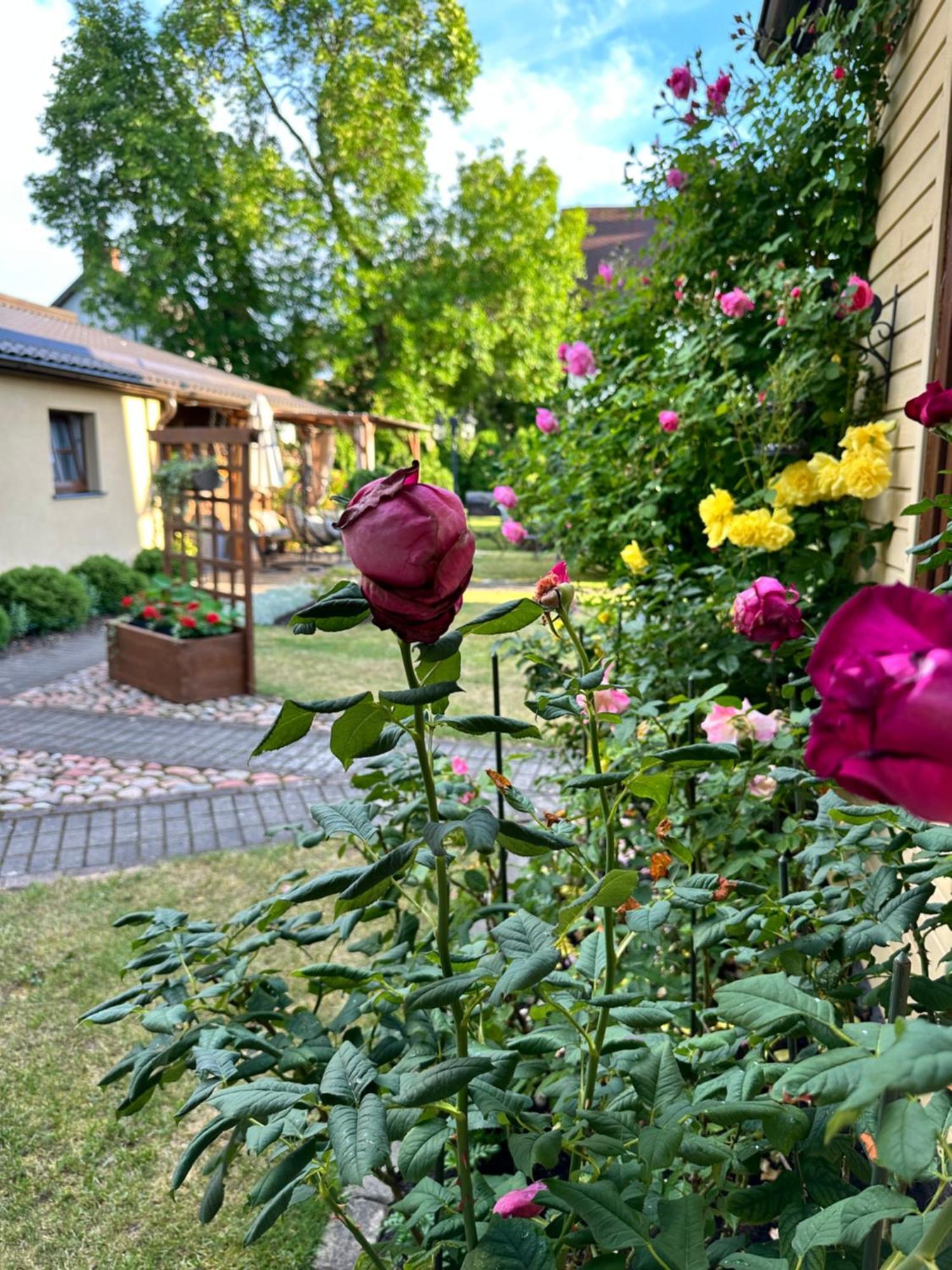 Anni Lejlighed Ventspils Eksteriør billede